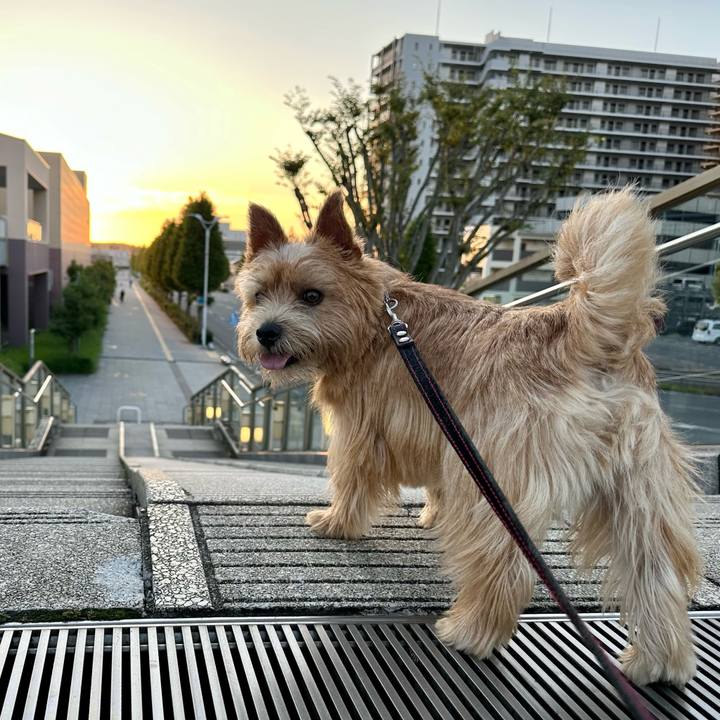 3cf91c88 f704 467d 820d 25c09ea6376a 1758804879250