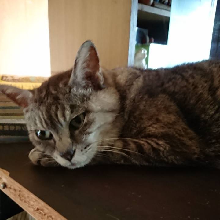 3cf92704 2404 4c32 911e 5d5f1d8f101e 1564291317583