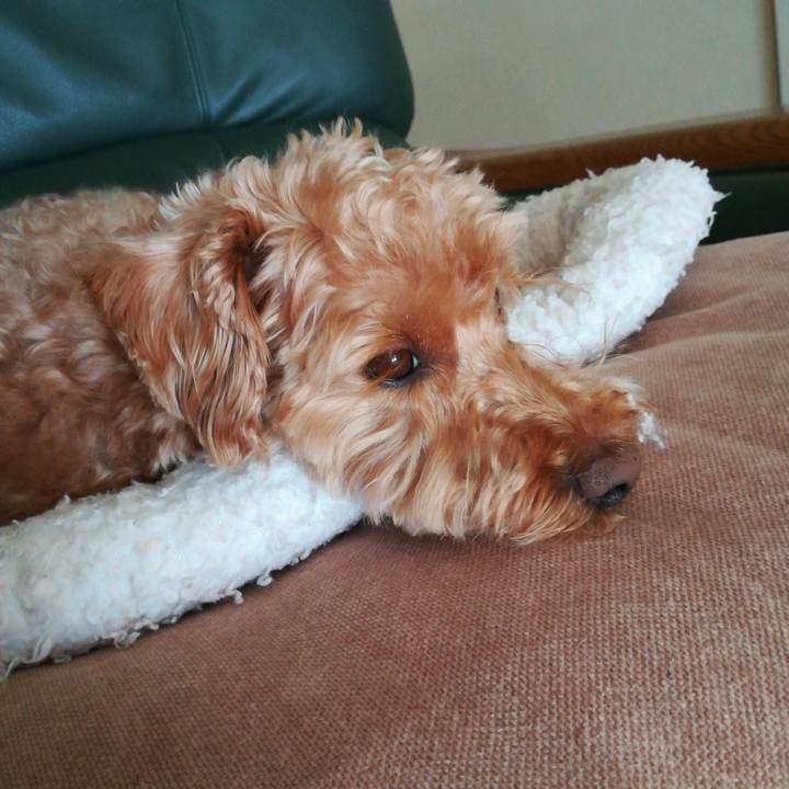 3cf937c4 9eb5 4950 bd5e 3938dcfc06c6 1552702271208