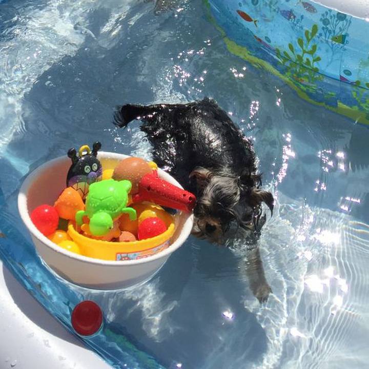 3cf94106 1481 4b7d b222 6338769a81bb 1596933378984