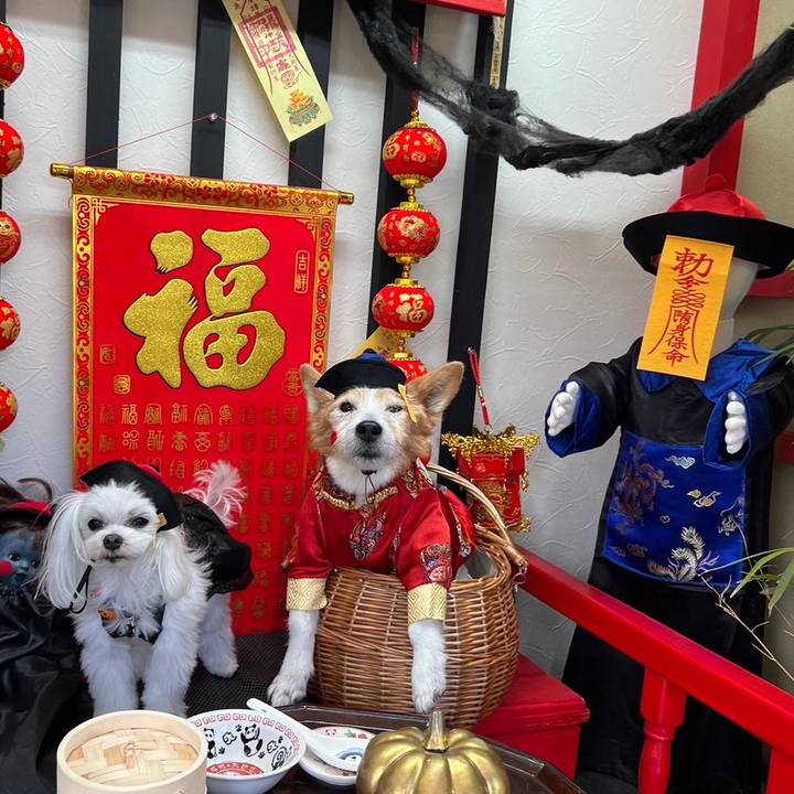 3cf965ef 9733 4c83 b71c c201c020d8f4 1698733429487