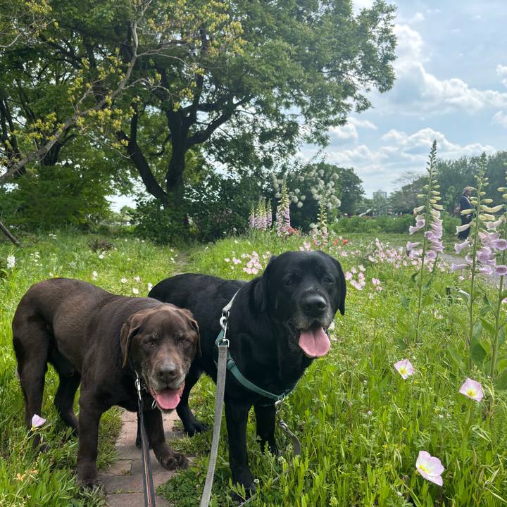 3cf96c4f 3770 4ec7 9822 5143431e2c7e 1777379977309