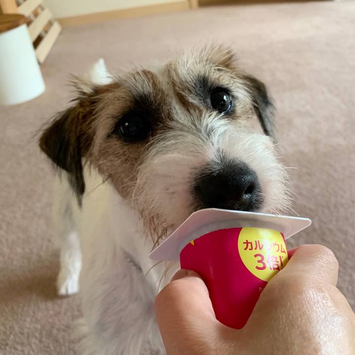 3cf96ddd 98de 44b1 8839 d8fb6d7f2263 1595740673174