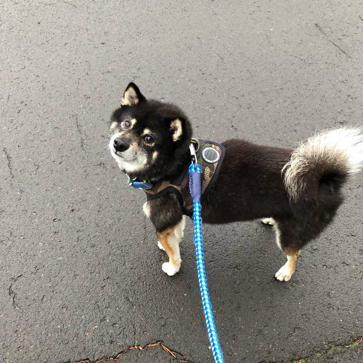 3cf9e926 61a3 4edf 9127 9b89a833fa0e 1559726741429