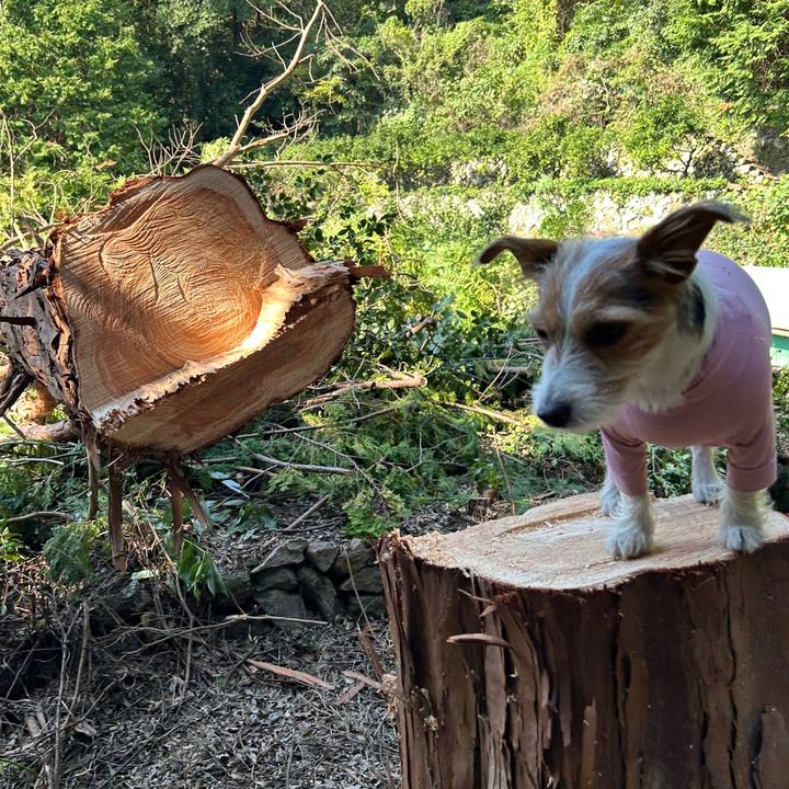 3cfa303a 080f 4004 b163 6b6726e8870e 1761795034970