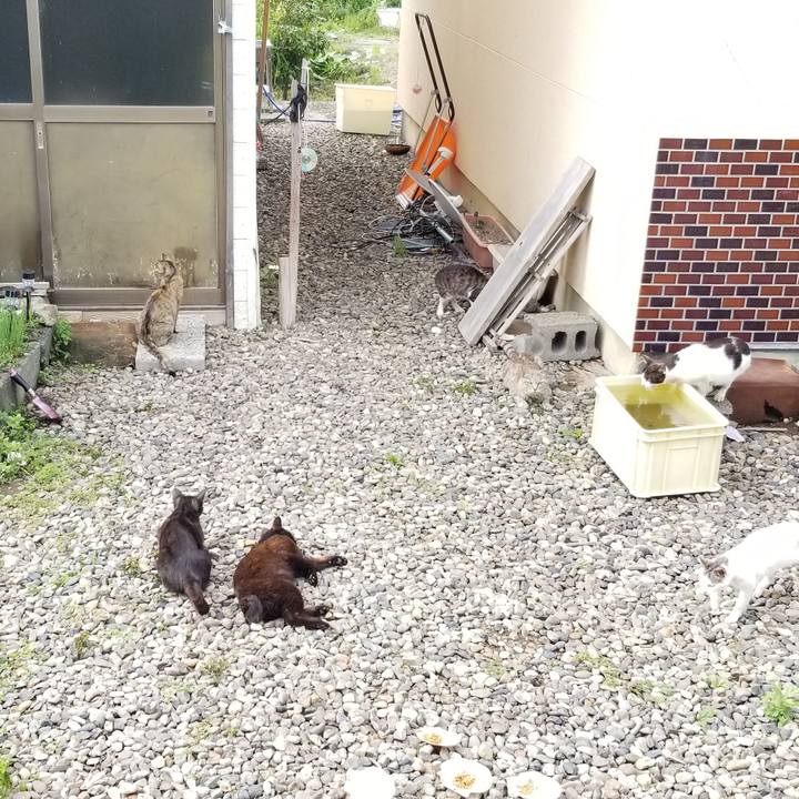 3cfa6fc0 1e86 4ab7 90b5 f78ac3f3ab0e 1689762490492