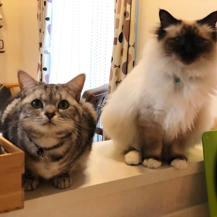 3cfa7d84 cb41 458a 9ef9 5c117866a8e1 1541468846114