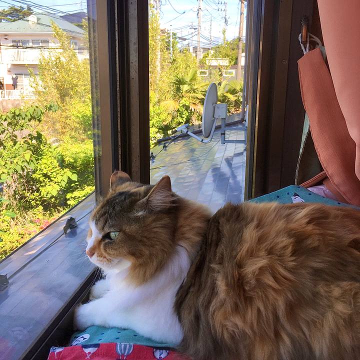 3cfa96d4 6b4d 4b66 ba8c 59220187f08e 1630992580068