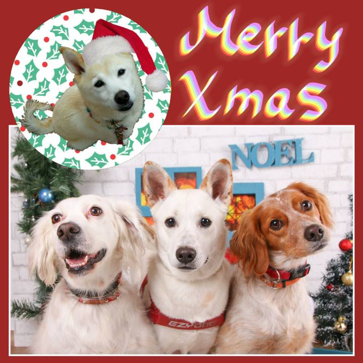 3cfaa4f3 a7b8 4d78 bb58 192554ae8fa4 1577192060889