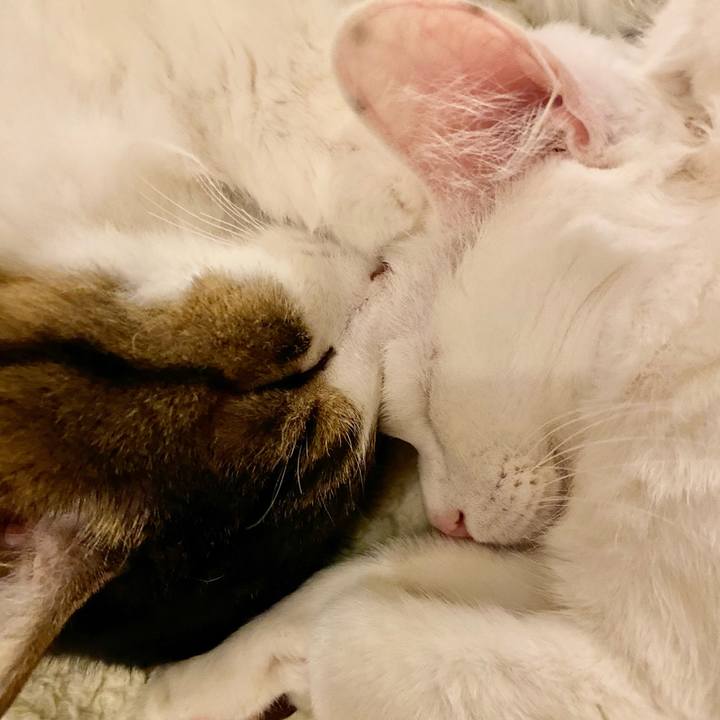 3cfabb1a 9ffb 4ee6 b081 ebcf3b604792 1672878161304