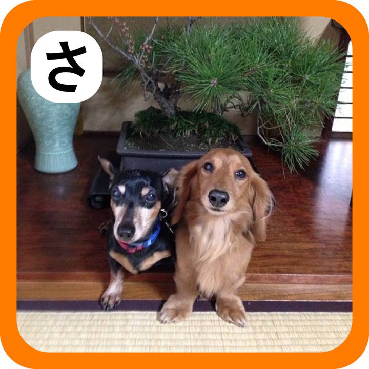 3cfad2b7 04e0 4ec4 87f1 6579c5817b80 1514775583438