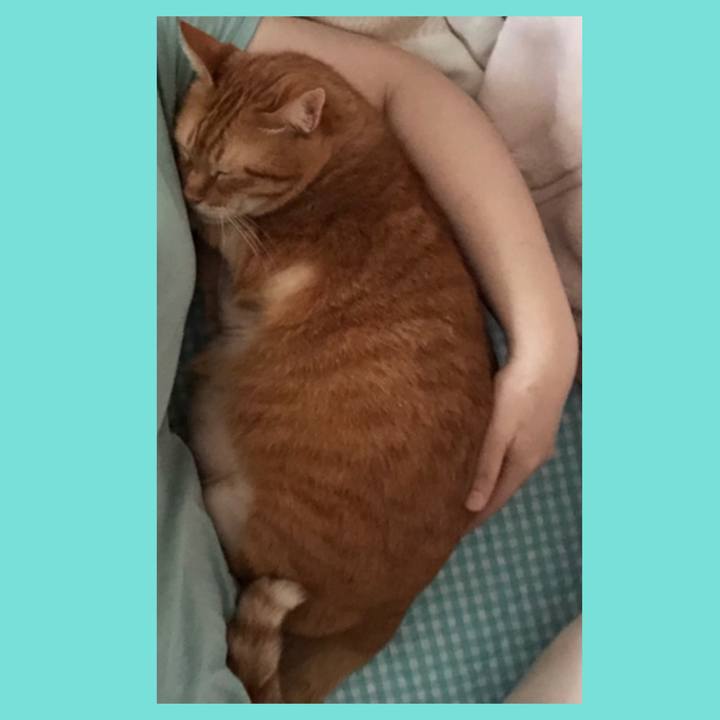 3cfaf91d fb2b 4a13 82d8 77a178310709 1658614163572