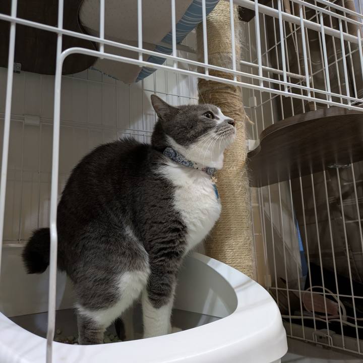 3cfafce7 c189 442c a62c 03cd615b4a98 1751622921016