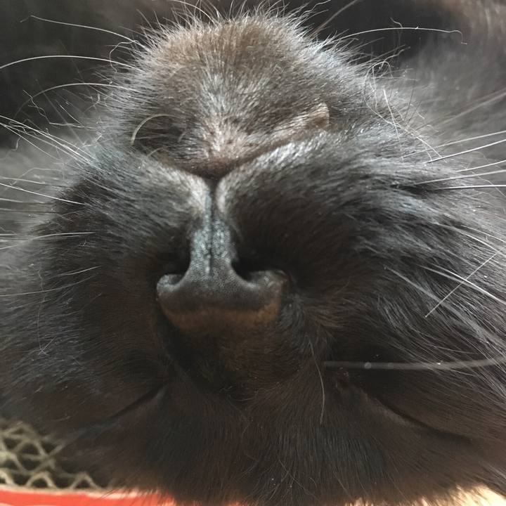 3cfafde4 f62a 4667 9ad0 5b5af1d568ab 1531129141141