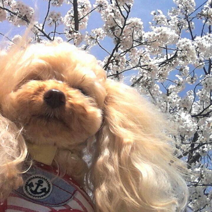 3cfb080d d9f0 429d 9cdc f8a9780e82cb 1522919861015