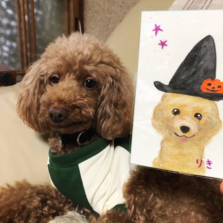 3cfb664f 546d 4cfe a62b eddeb993b412 1571553222092