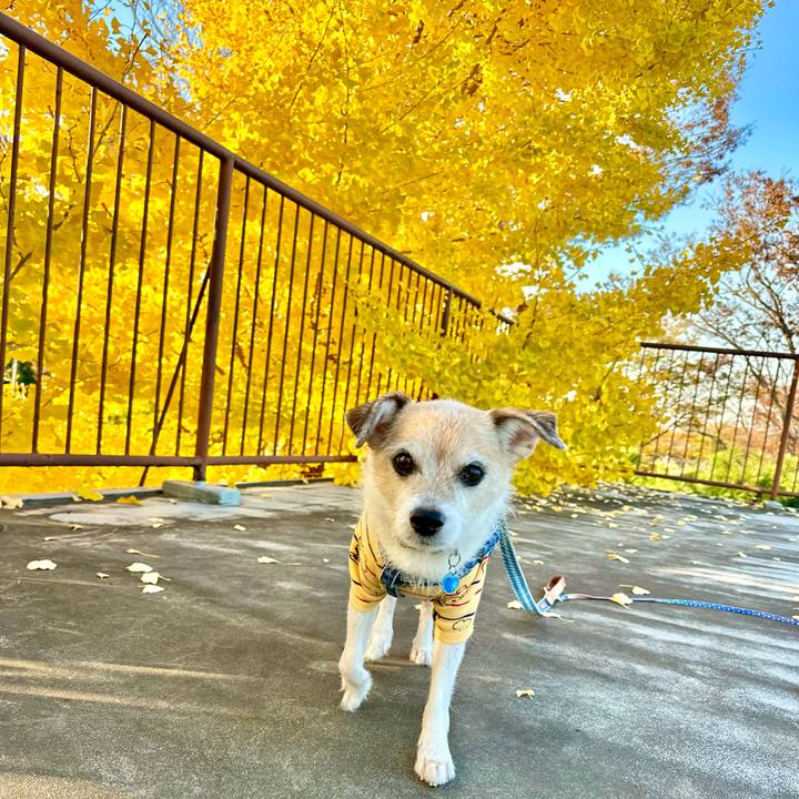 3cfc7958 407b 4bcc b672 adddd1a4002a 1700814999599