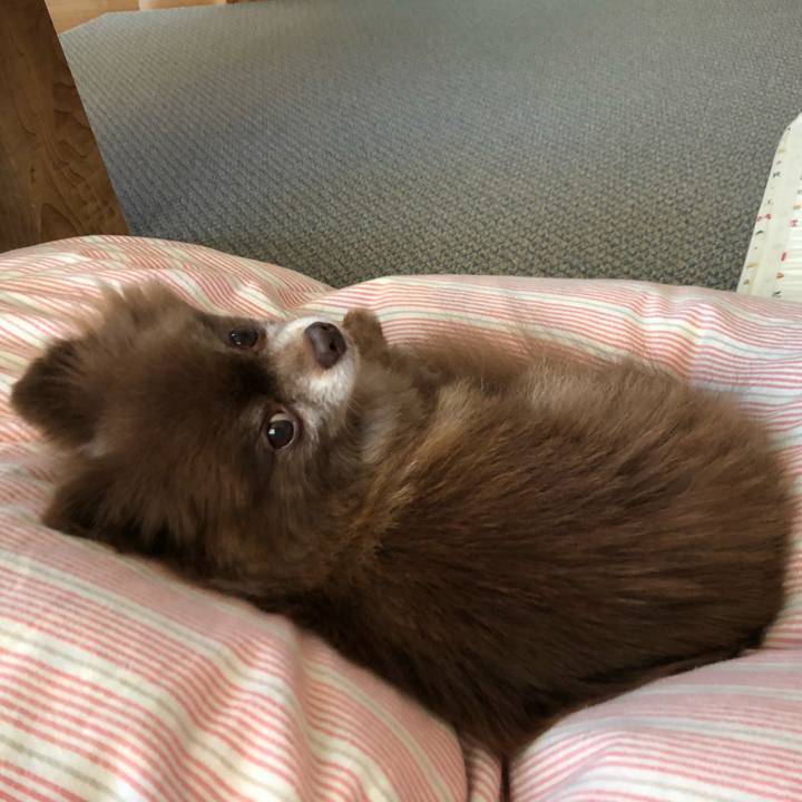 3cfca003 1875 4bea b44e f245654e3ec6 1557177797665