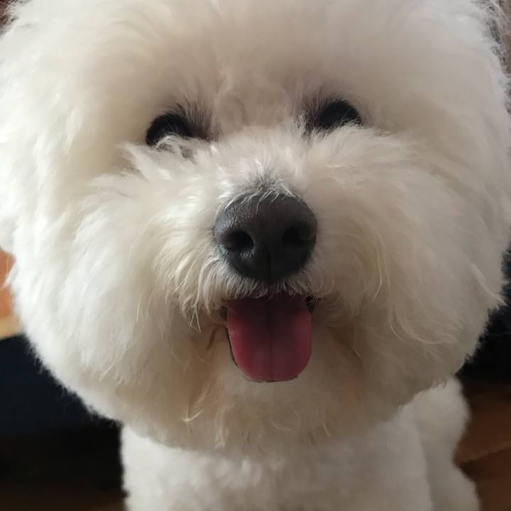 3cfcb26a 3917 47bc b0ca 5351c33f3f35 1589359396456