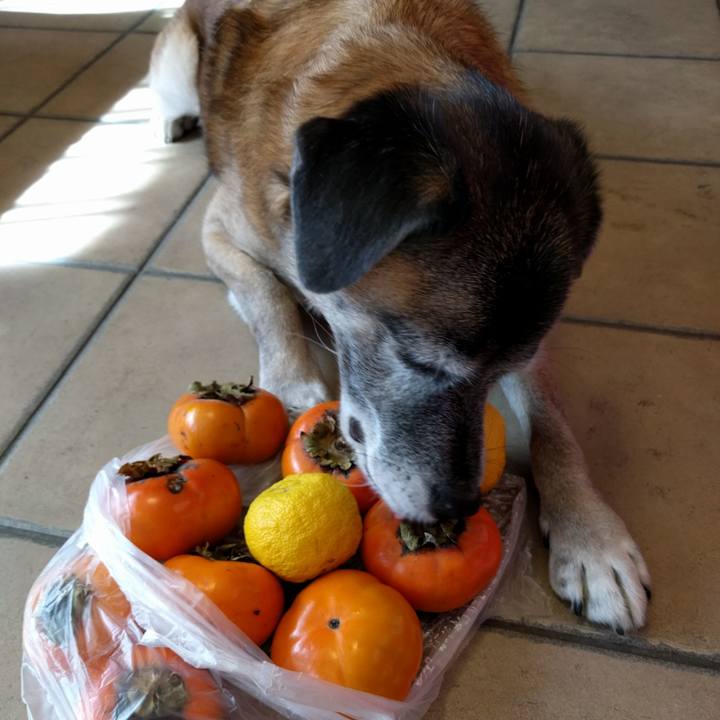 3cfcb31e 67b9 4306 a2a0 f998ea75bb70 1540775856020