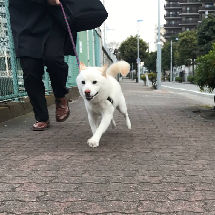 3cfd07ad a2d8 43a4 b6bb bedb68569c43 1513899548448