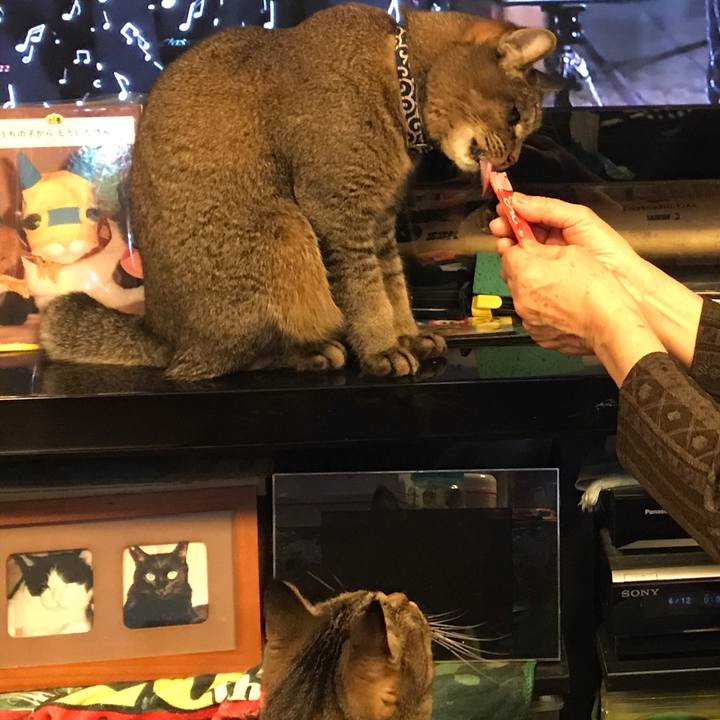 3cfd1f0b b966 4063 bddc c2a3a3f6c173 1509812560233