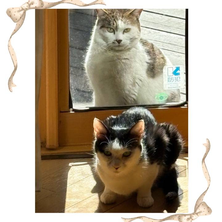 3cfd9c93 5eb0 454e ab29 34337a2f29a5 1773455493955