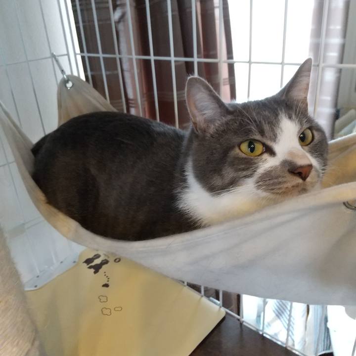 3cfe0515 96c1 40f7 a557 f74cc4fa5dfd 1602738722314