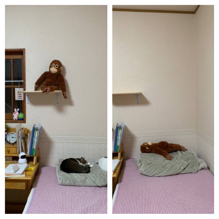 3cfe18cd d9ea 4873 8bdf 7b3b52593218 1634738164389