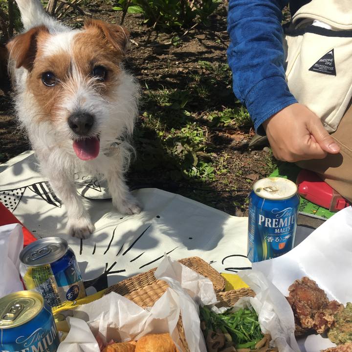 3cfe280e 74a4 4b51 ab38 48591b8c7c96 1521947158974