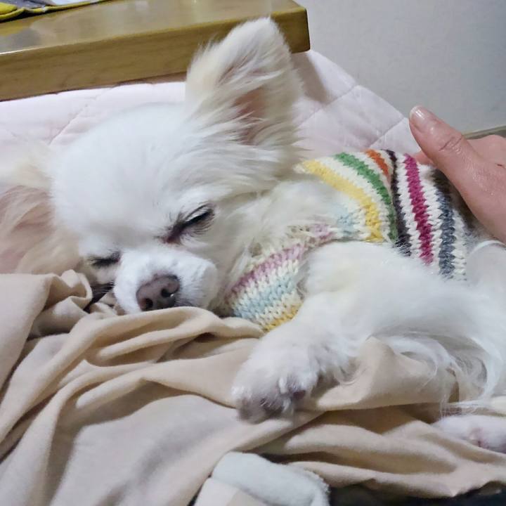 3cfe638c 746b 40a4 b7a0 0e024885aebc 1514380567917