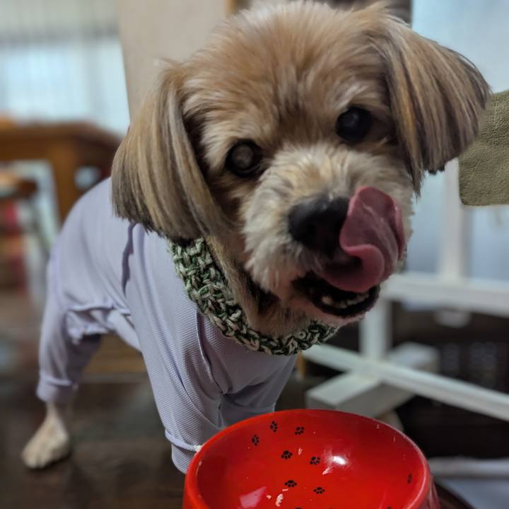 3cfe6a8b f256 4792 92a8 c526f48f8d11 1734759861797