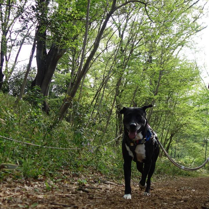 3cfe705c 5f4a 496b 8e25 76cf0726f269 1649810724844