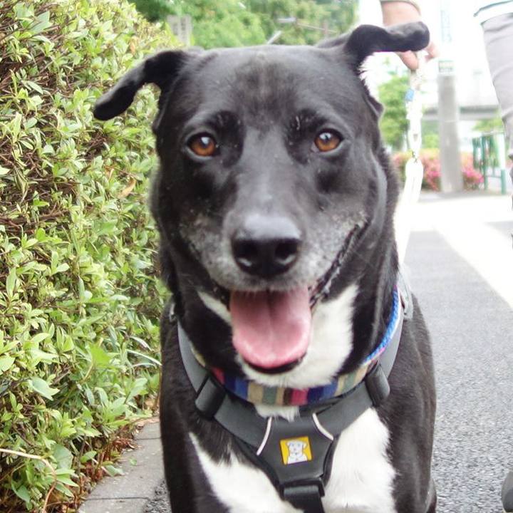 3cfea16a 88bf 4ad5 a17a 1da833d0619b 1653180604394