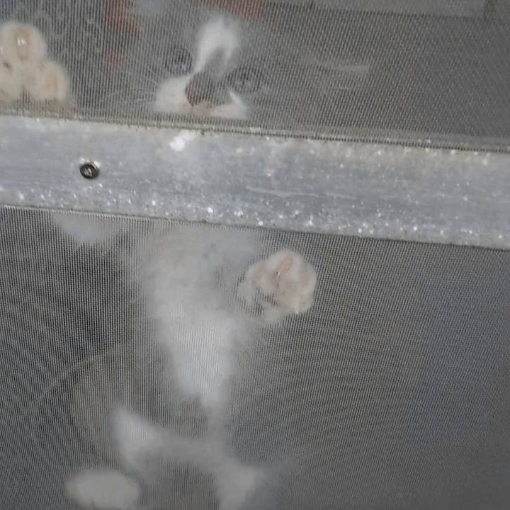 3cfed11a ecc0 4a3e 8f39 10a295e3e8e3 1560468764289