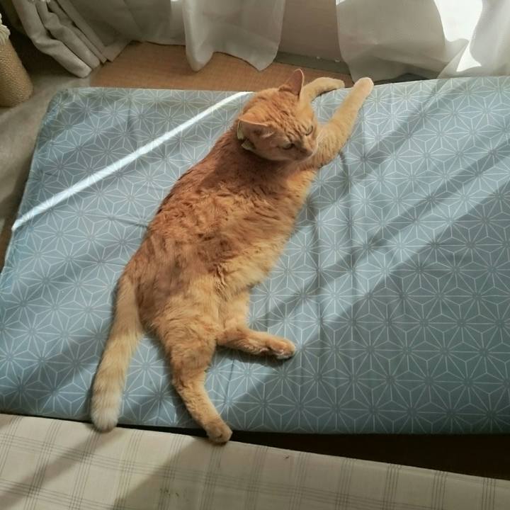 3cfee1d2 72fc 426a 9111 408051949cb8 1507778488279