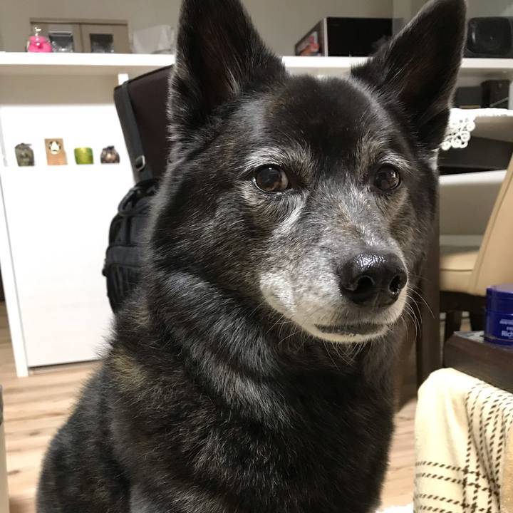 3cfeec40 5e16 40e7 ad60 76cfbd8fd48e 1583924564082