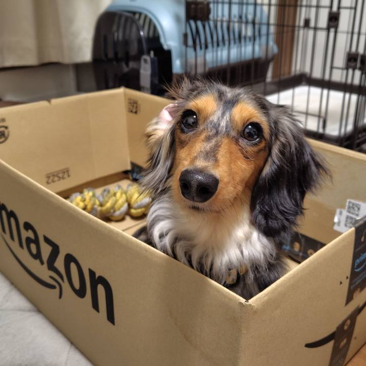 3cff167e 64d2 441e 9772 528ca9b84f3f 1743590997934