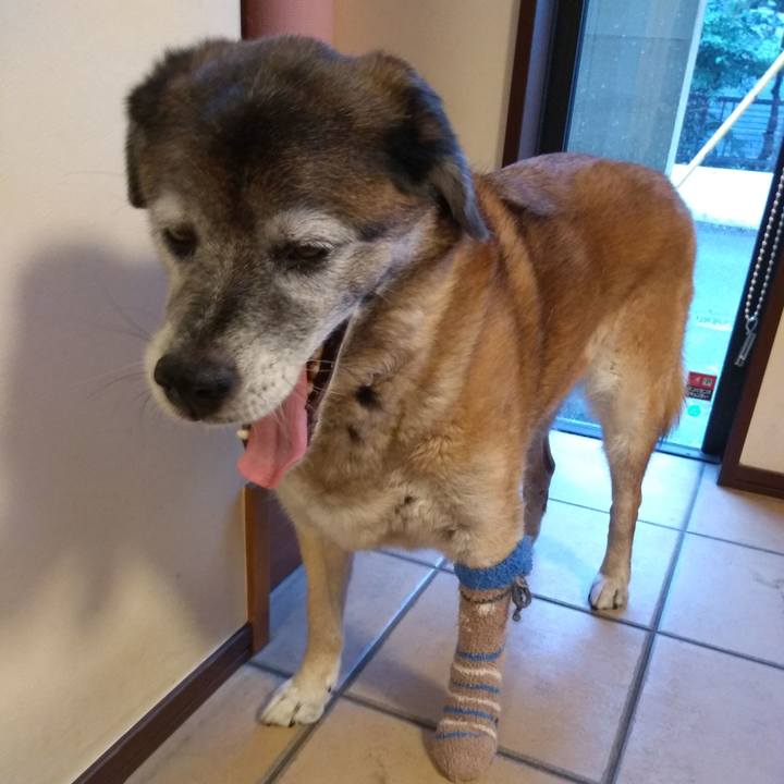 3cff3ed9 7c41 4320 8252 3601c948a177 1563835473297