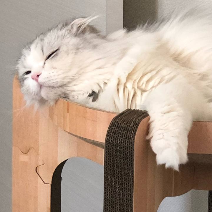 3cff4e5d 9c56 46b1 9c6b f36be1b284e1 1648852997630