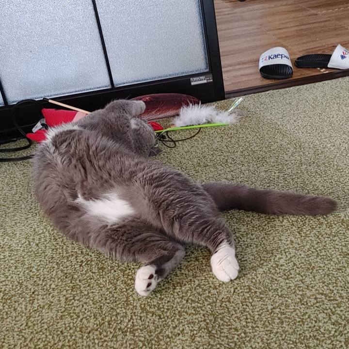 3cff6ed1 90b3 4434 b646 77f046016334 1713511484315