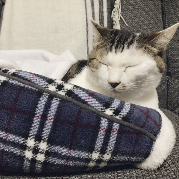 3d001190 e6ba 46ce 81b3 50e244ea28d5 1543470548923