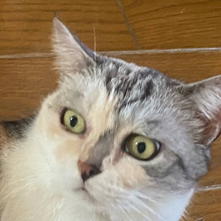 3d0012df 08f1 46dd 9eaf 2b081e794752 1693615828385