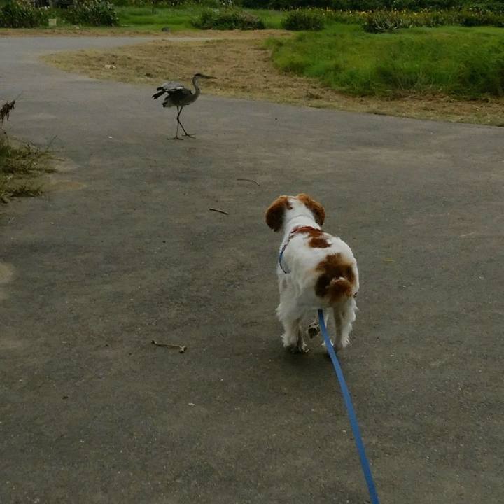 3d003266 4640 432c 866f 6c3428a25b09 1535023640999