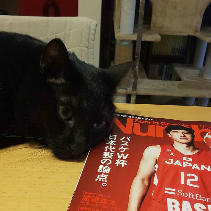 3d00613a 8611 4a0a bce1 289427040734 1693867614094