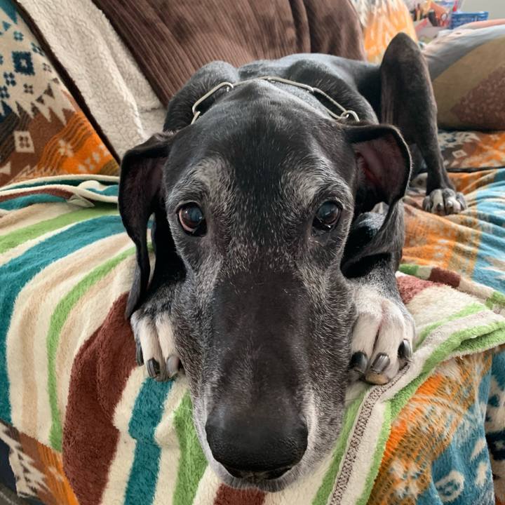 3d00ba83 547a 4cb4 8e40 03ace62ac7f3 1603925095521