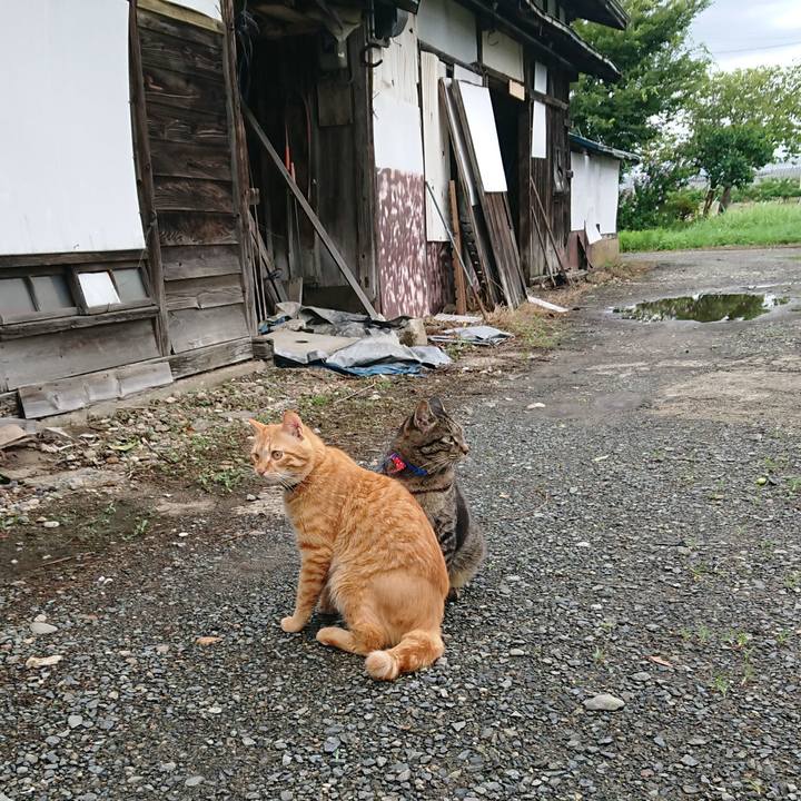 3d00c87e f20d 4b20 a72a 7c494c01e71b 1660639409158