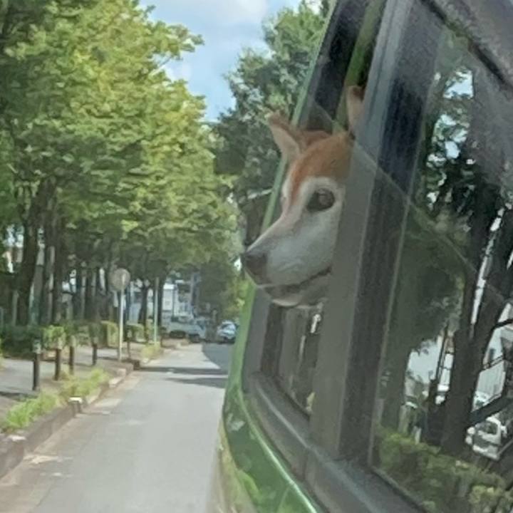 3d011d5a e25e 471c 8554 2dc71b77e5a3 1723705396825