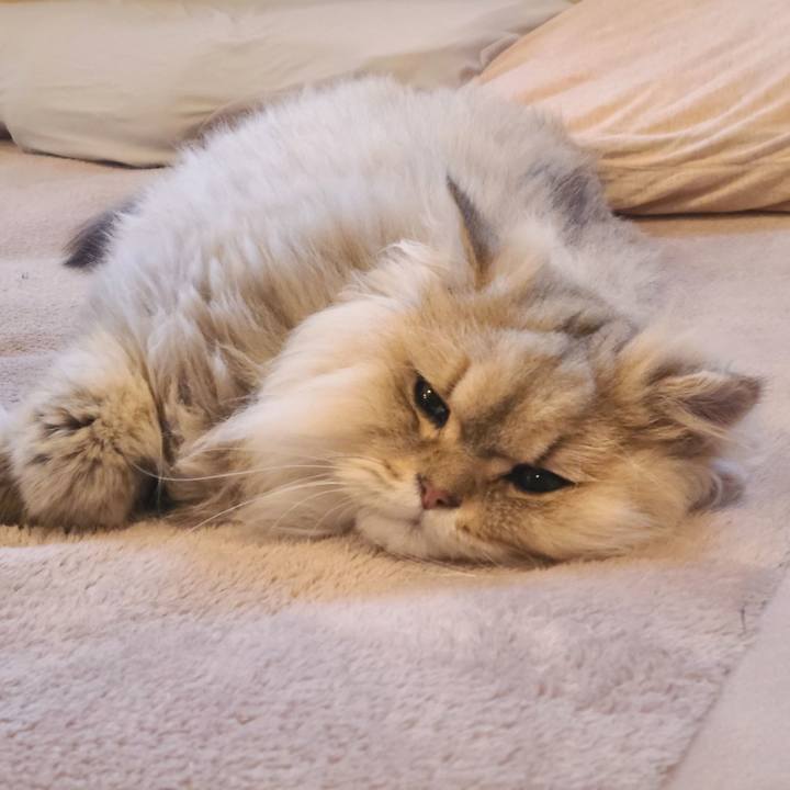 3d014b0b 7cf5 4141 a6a7 2f33a950803c 1706094001313