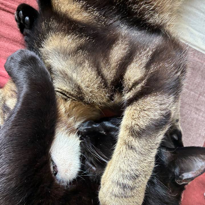 3d01751b a0ed 4e53 b32e 4254019957a6 1750464572578